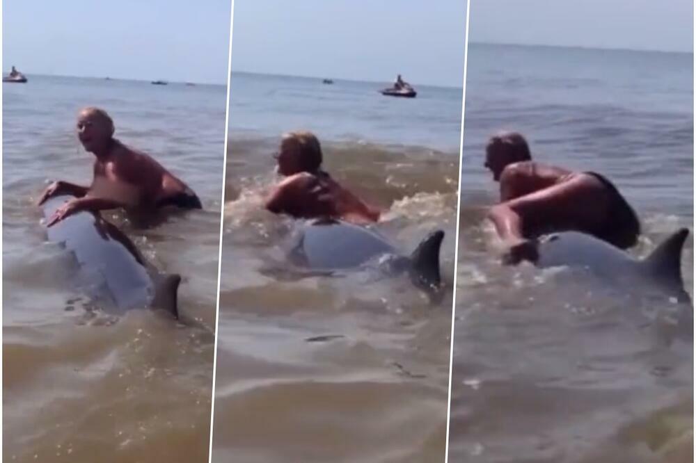 UŽASNA SCENA SA MORA U HOLANDIJI: Žena uzjahala delfina pa NE UME DA SIĐE! ŠOK! (VIDEO)