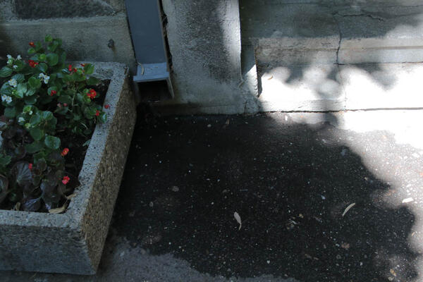 Doktorka se pred prolaznicima obesila o klimu! Nakon što je izgubila posao, umrla joj je majka, ali to nije sve