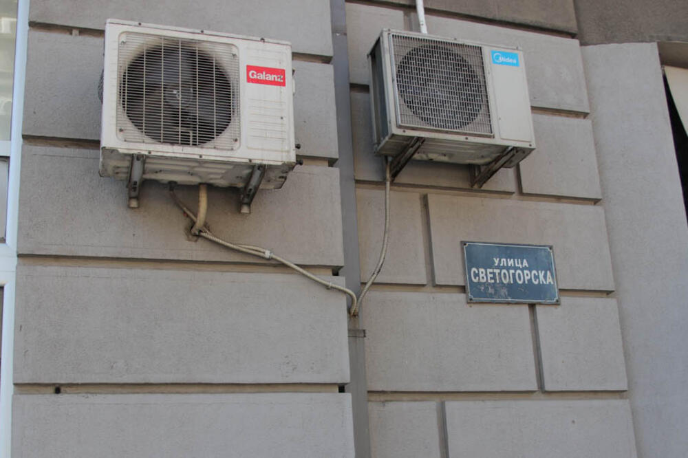 OVA BILJKA SMANJUJE TEMPERATURU U STANU BOLJE OD KLIME: Ako nemate RASHLADNI UREĐAJ, ona će vam SPASITI VRELU GLAVU