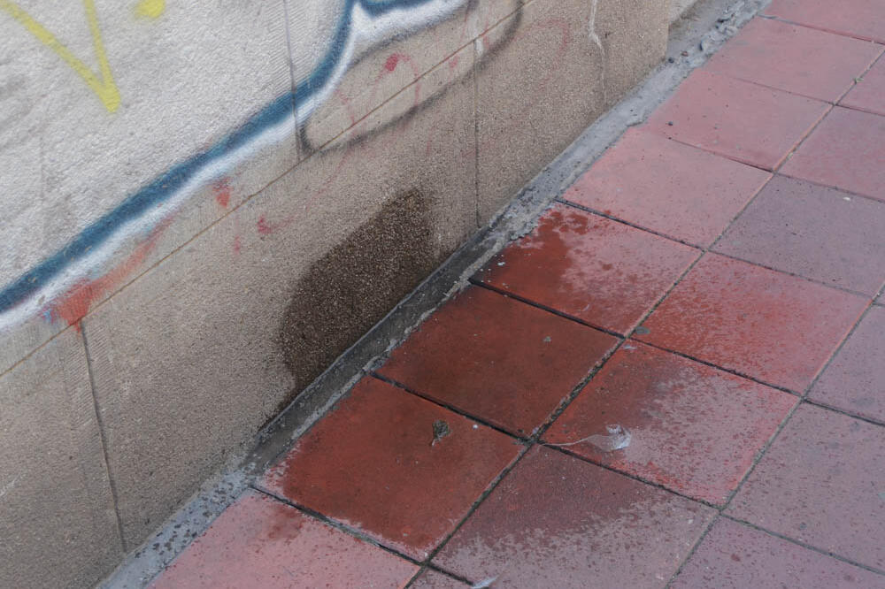Evo zašto voda iz klime nikako nije za bacanje! 5 načina kako da je iskoristite u kući i bašti