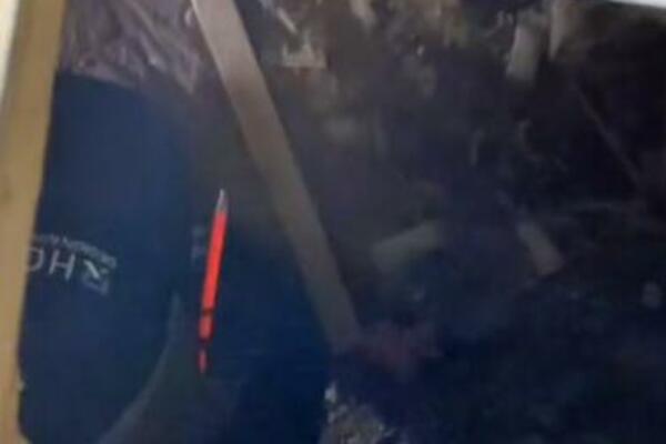 KUPILI SU KUĆU, PA ZATEKLI JEZIVU STVAR ISPOD PODA: Kroz GLAVU im se MOTALO OVO, neće vam BITI DOBRO od PRIZORA