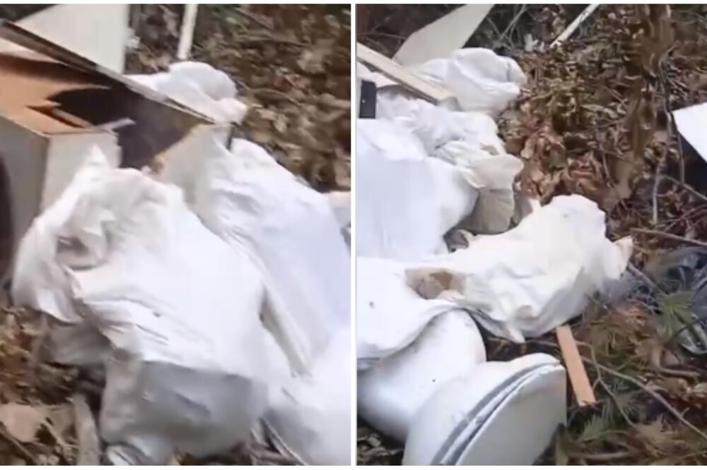 ŠUMU POMEŠALI SA DEPONIJOM: "Najveća sramota Čukarice", pobacali DELOVE KUĆE nasred šume (VIDEO)