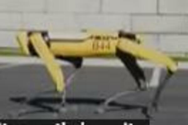 NEKADA NAJBOLJI ČOVEKOV PRIJATELJ, BUDUĆNOST NE IZGLEDA TAKO SVETLA: Pogledajte kako izgleda PAS NOVOG DOBA!(VIDEO)