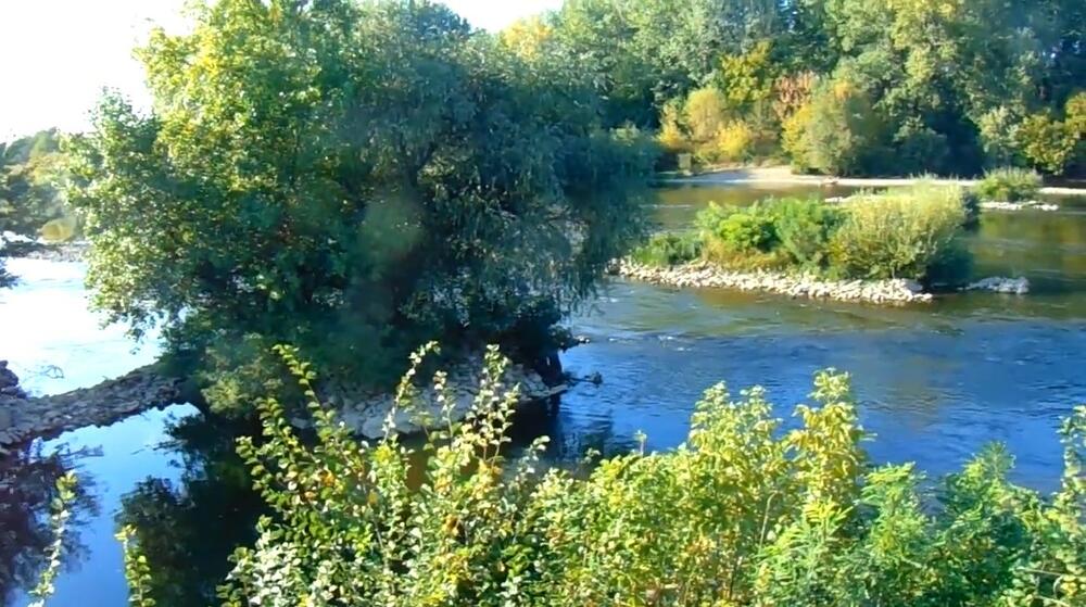 Velika Morava, Reka, Morava