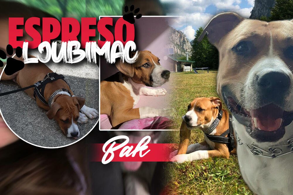 BAK JE MULTITALENTOVANI SPORTISTA: Suočio se sa svakavim preprekama, ali dve su mu ostale sanak pusti! (VIDEO)