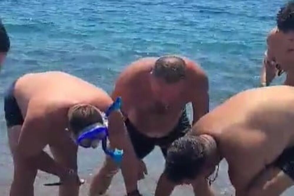 SNIMLJEN VELIKI GMIZAVAC NA GRČKOJ PLAŽI: Borili su se za život, JEZIVE SCENE (FOTO)