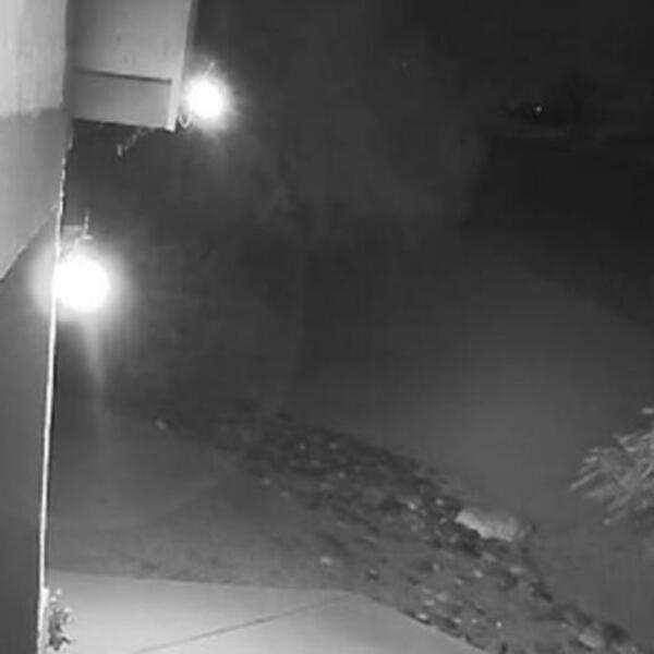 NAJJEZIVIJE ŠTO ĆETE IKADA VIDETI: Ljudi snimili DUHA kako pokušava da ŠETA SVOG PSA (VIDEO)