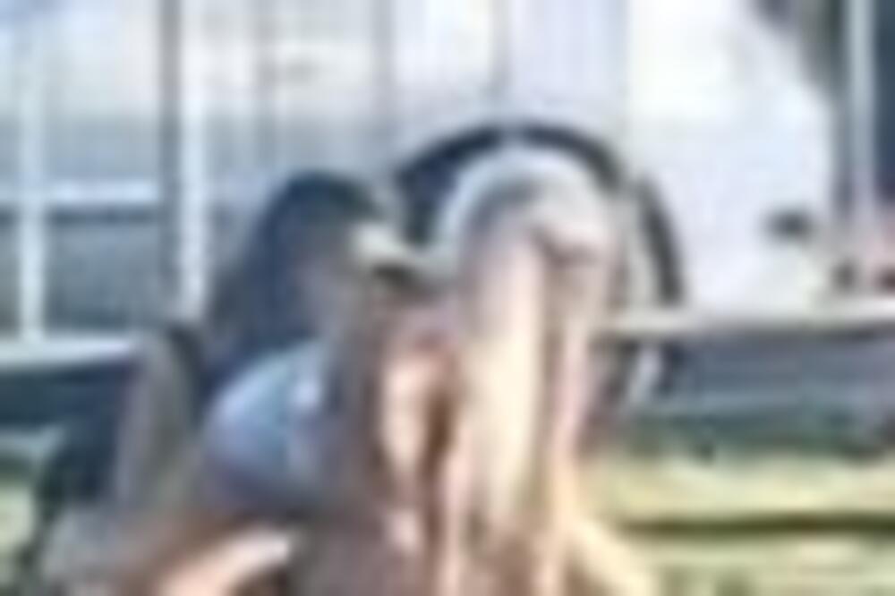 ISPLIVAO ŠOK SNIMAK SE*SA U JAVNOST: Žestoka akcija iz SAMOG CENTRA GRADA, prolaznici GLEDALI U NEVERICI, AU!