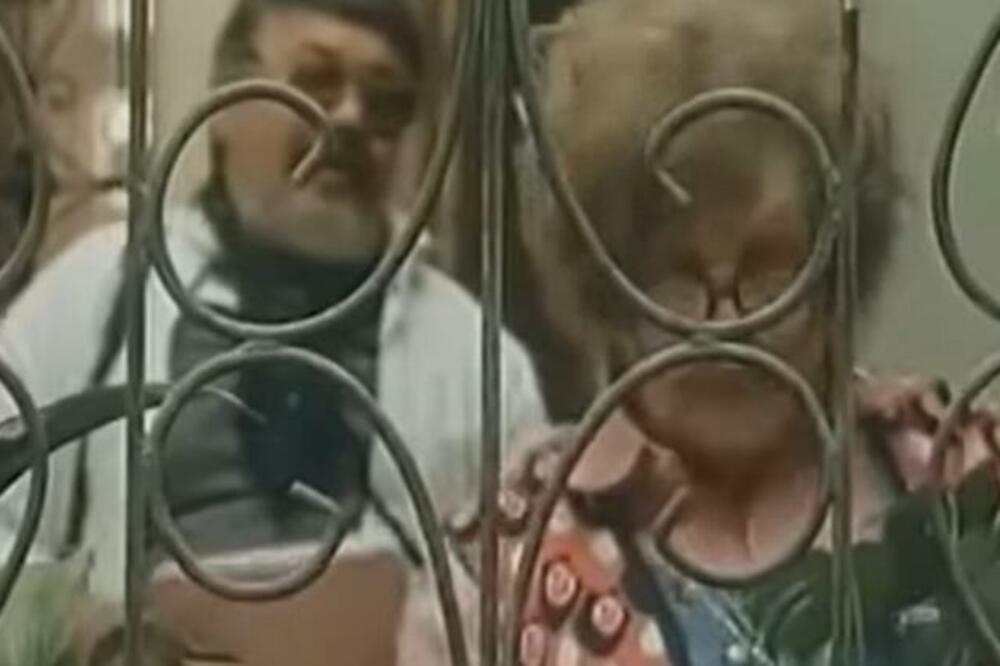 SVI SE PITAJU KO JE FOTOGRAF IZ TESNE KOŽE: Pamtimo ga po čuvenoj REPLICI, OVO niko o njemu nije znao, ŠOK! (FOTO)