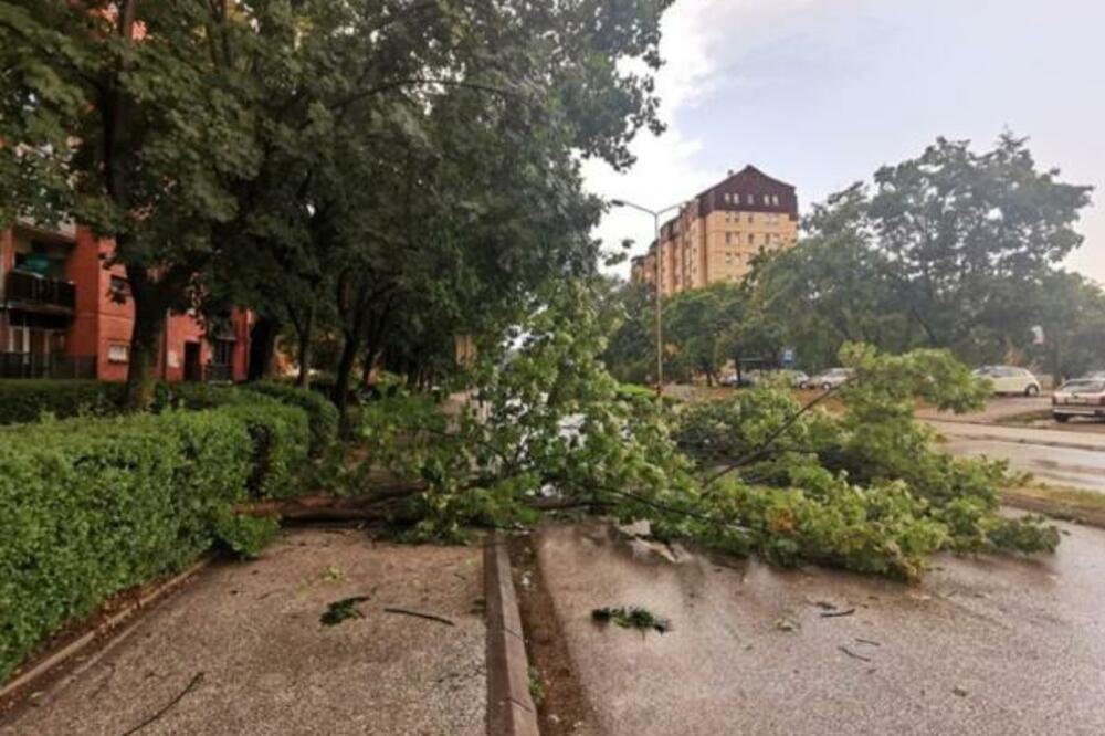 OLUJNO NEVREME U ČAČKU LOMILO I ČUPALO DRVEĆE: Blokirana najprometnija ulica u gradu, nastao HAOS!
