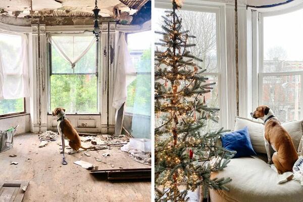 KUPILA ORONOLU KUĆI, PA NAPRAVILA VILU KOJA VREDI SILNE PARE: Bila u RUŠEVINAMA, a sada izgleda kao iz SNOVA (FOTO)