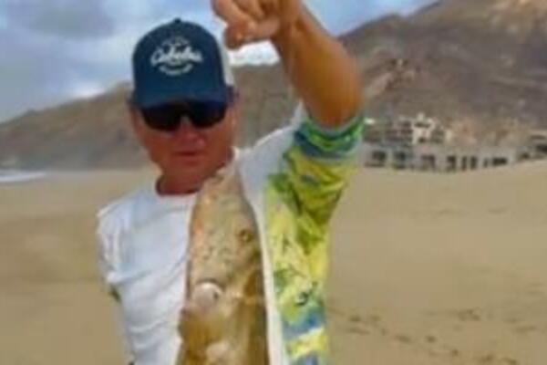 DA LI JE OVO NAJJEZIVIJA RIBA KOJA POSTOJI? Ima ljudske ZUBE, a tek ovo (VIDEO)