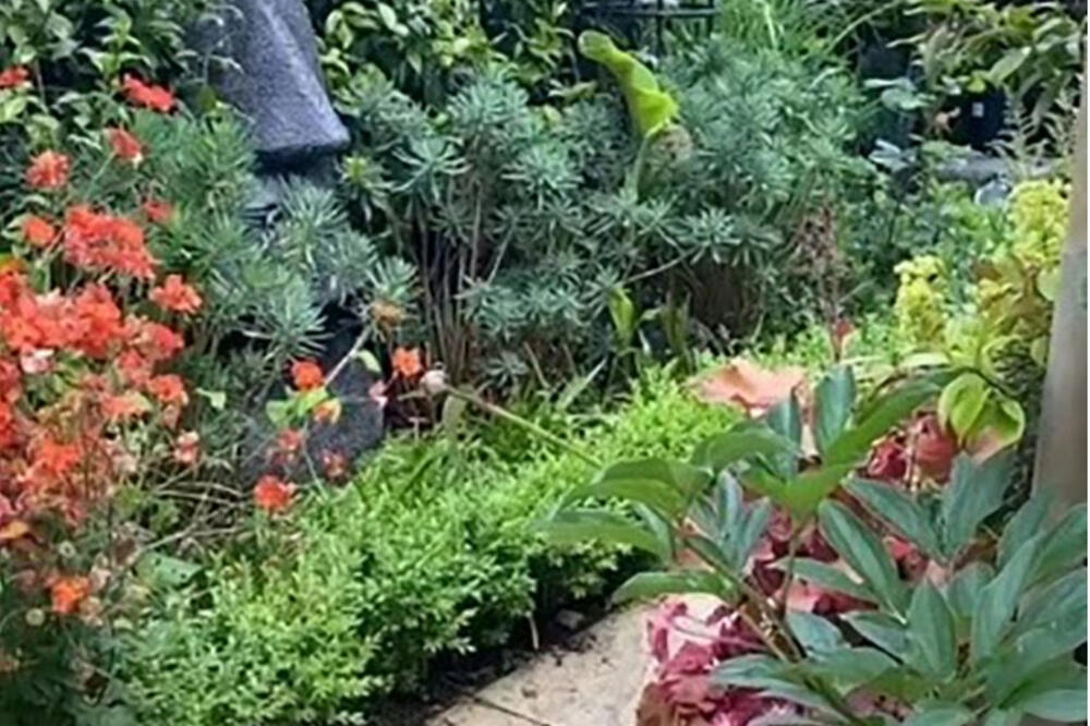 SAMO 1% LJUDI OVDE VIDI MAČKU: Zaboleće vas oči, iluzija ZALUDELA SVET! (FOTO)