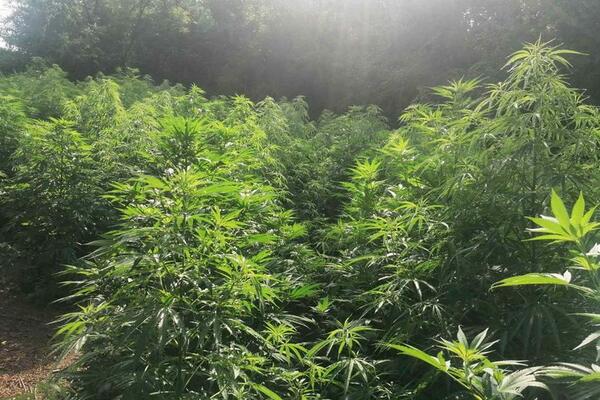 Beograđanin dolijao u Malom Zvorniku: Imao je veoma "zanimljiv" zasad!