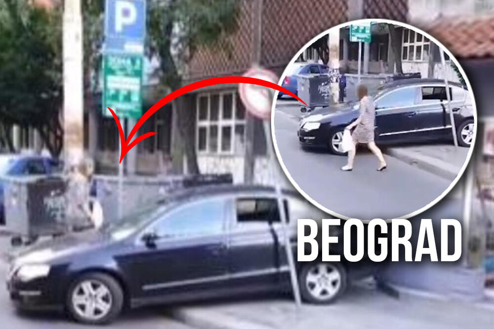 LAKŠE GA PRESKOČITI, NEGO ZAOBIĆI! Čoveče, zašto si to uradio nasred Makenzijeve? (FOTO)