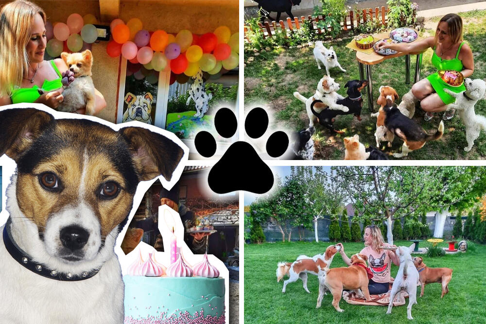 ČUPAVA EKIPICA, TORTA, MAFINI, TOP PROVOD! U ovom srpskog gradu prave se najluđe ROĐENDANSKE ŽURKE ZA PSE! (FOTO)