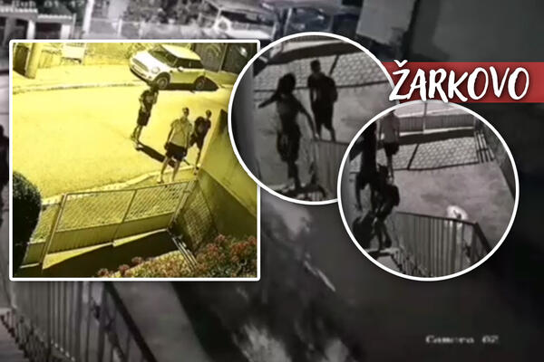 SIGURNOSNE KAMERE SNIMILE UŽAS U ŽARKOVU! Nasmrt mogu da preplaše, JEZIVO šta rade (VIDEO)