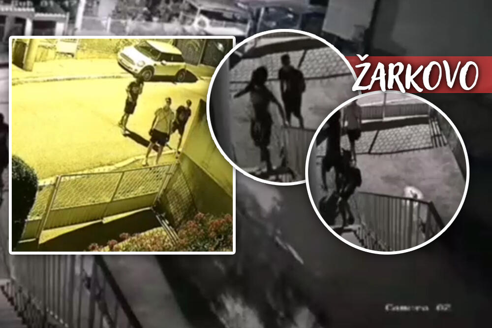 SIGURNOSNE KAMERE SNIMILE UŽAS U ŽARKOVU! Nasmrt mogu da preplaše, JEZIVO šta rade (VIDEO)