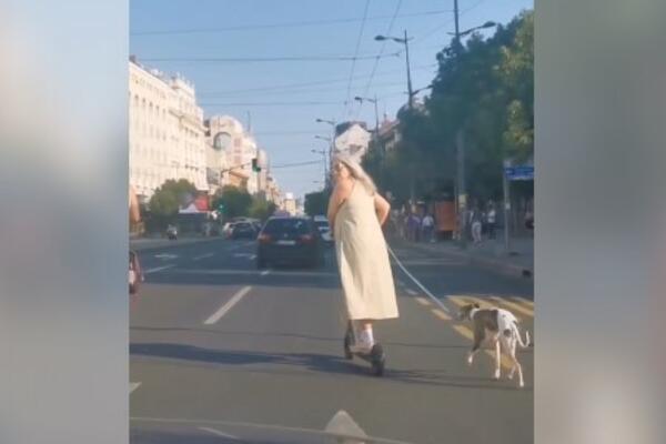 NEMA KRAJA BIZARNIM SCENAMA U BEOGRADU: Žena vozila TROTINET po ULICI, a na to je i VUKLA PSA (FOTO)