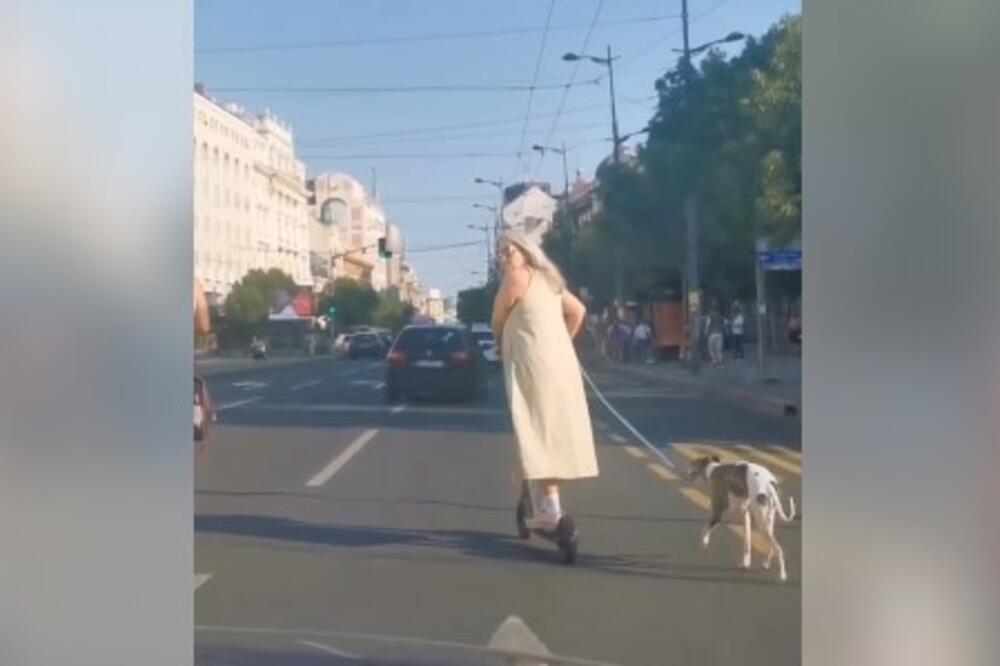 NEMA KRAJA BIZARNIM SCENAMA U BEOGRADU: Žena vozila TROTINET po ULICI, a na to je i VUKLA PSA (FOTO)
