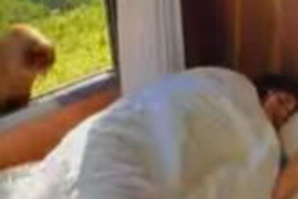 OSETILA JE DA JE NEŠTO PIPKA: Kada je pogledala na PROZOR, nije mogla doći sebi (VIDEO)