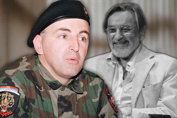 IZAŠLA ISTINA O GAGIJU NIKOLIĆU I ARKANU: Ovu stvar su DELILI, malo ko je znao