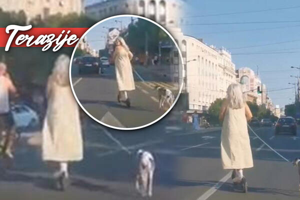 NA TERAZIJAMA NESVAKIDAŠNA SLIKA: Ova scena će vam sigurno izmamiti osmeh na licima (FOTO)