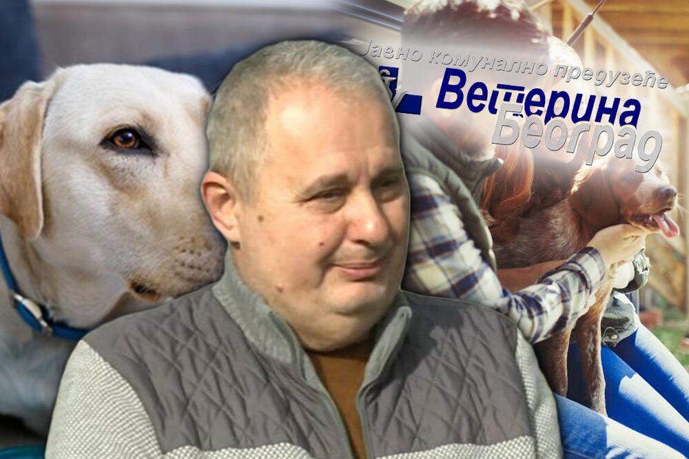 EVO KOLIKO ŽIVOTINJA JE DOZVOLJENO DRŽATI U STANU: Direktor Veterine Beograd za Espreso rešio NEDOUMICU!