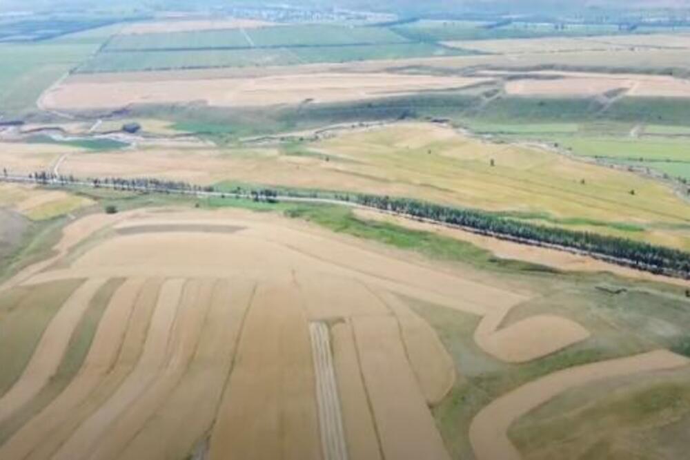 DOBRA LETNJA ŽETVA U SINĐIJANGU: Očekuje se da će ukupna proizvodnja premašiti 6,5 miliona tona (VIDEO)