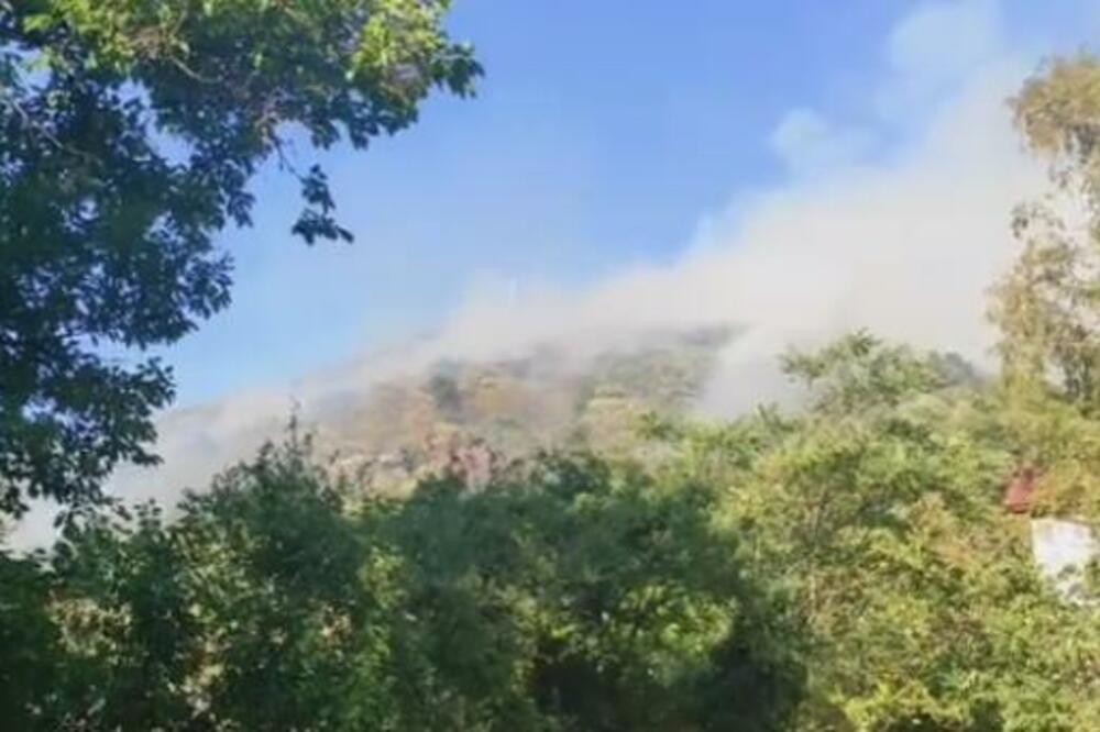 POŽAR NA VRŠAČKOM BREGU SE ŠIRI VELIKOM BRZINOM: Vatrogasci na TERENU