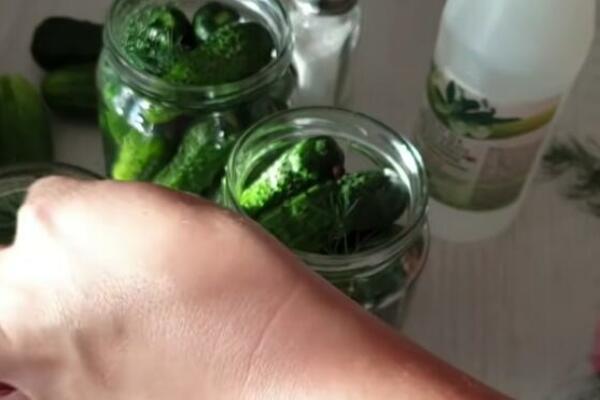 EVO KAKO DA VAM KISELI KRASTAVCI BUDU KAO IZ PRODAVNICE! Uz pomoć OVOG TRIKA, imaćete nikad bolju ZIMNICU