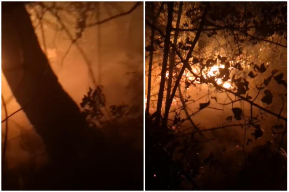 VELIKI POŽAR NA NAJPOZNATIJOJ PLAŽI U HRVATSKOJ! Podignuti i avioni, vatrogasci se bore sa buktinjom (VIDEO)