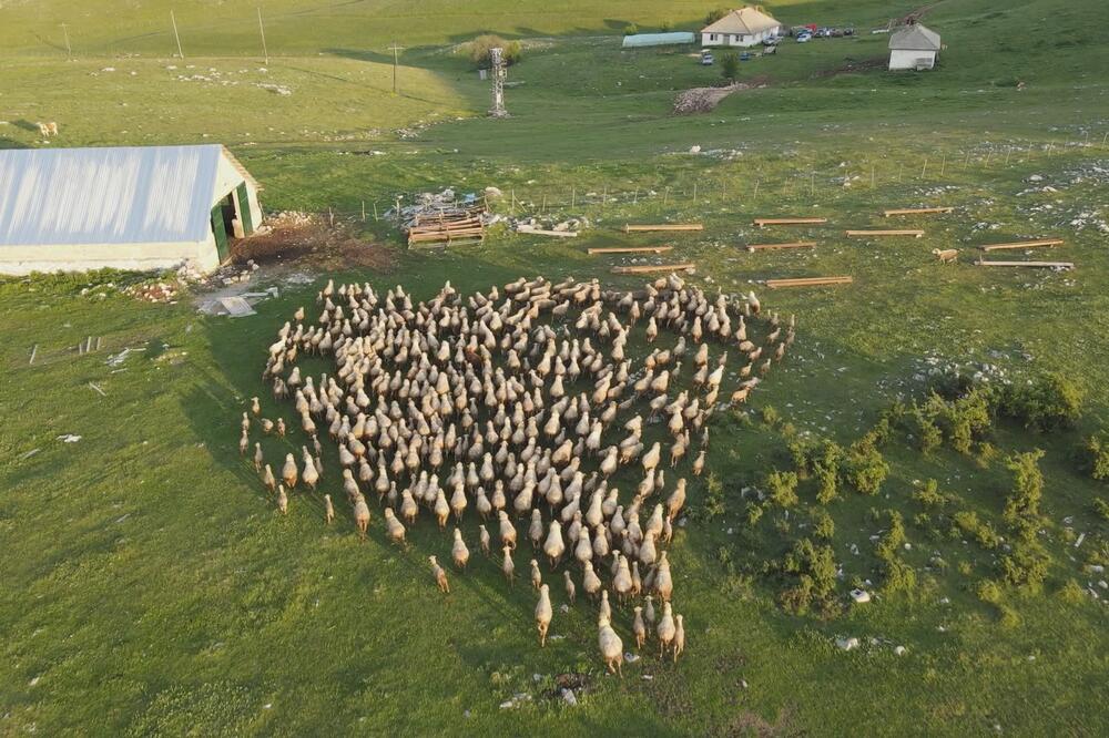 Sve manje stanovnika, meštani sa tugom gledaju gašenje sela: I ovo mesto u Srbiji se suočava sa odlaskom mladih