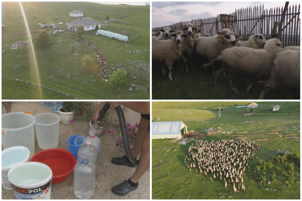 KAKO ĆE SUŠA UTICATI NA CENE HRANE U SRBIJI? Već je poskupelo SVE ŠTO POSTOJI, ali tu nije kraj!