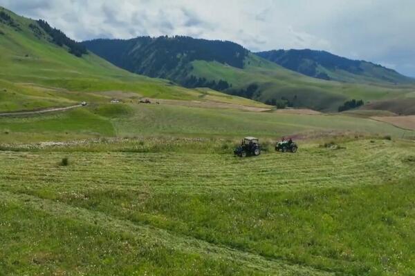 Tekes u Sinđijangu-okrug posvećen zelenom razvoju (VIDEO)