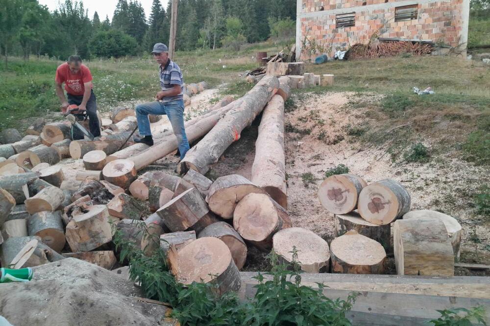 "DRVEĆE KOJE JE MOJ BABO POSADIO...": Potresna PORUKA Novopazarca čiji je OTAC dobio MOŽDANI UDAR zbog SEČE DRVEĆA!