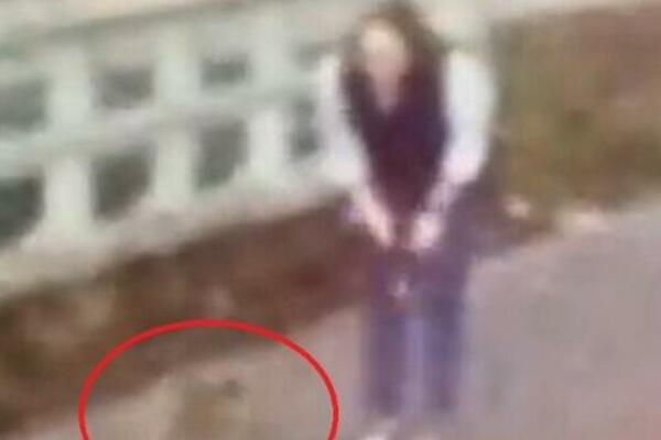 PRIŠLA ŽIVOTINJI NA METAR, PA OD ŠOKA PALA NA ZADNJICU: Snimak KIDISANJA na ženu ledi krv (VIDEO)