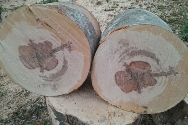 PALA CENA OGREVA! Evo koliko košta METAR DRVA u Beogradu! (FOTO)