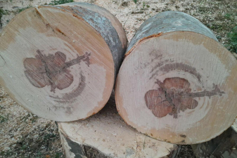 PALA CENA OGREVA! Evo koliko košta METAR DRVA u Beogradu! (FOTO)