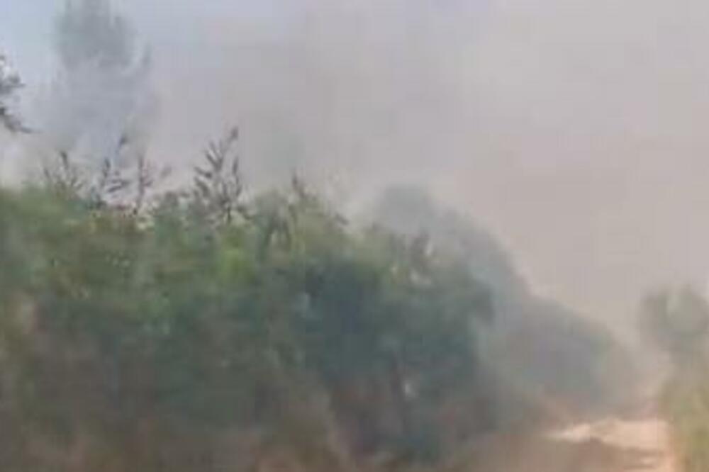 STRAŠAN POŽAR U NOVOM SADU! Dim se vidi iz celog grada (VIDEO)