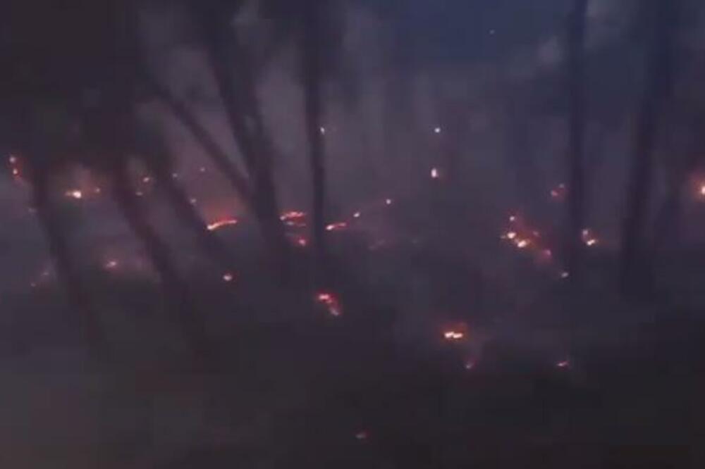 ŠIRI SE POŽAR U BARU: Čule su se i DETONACIJE, vatra ide prema ŠUŠNJU (FOTO/VIDEO)