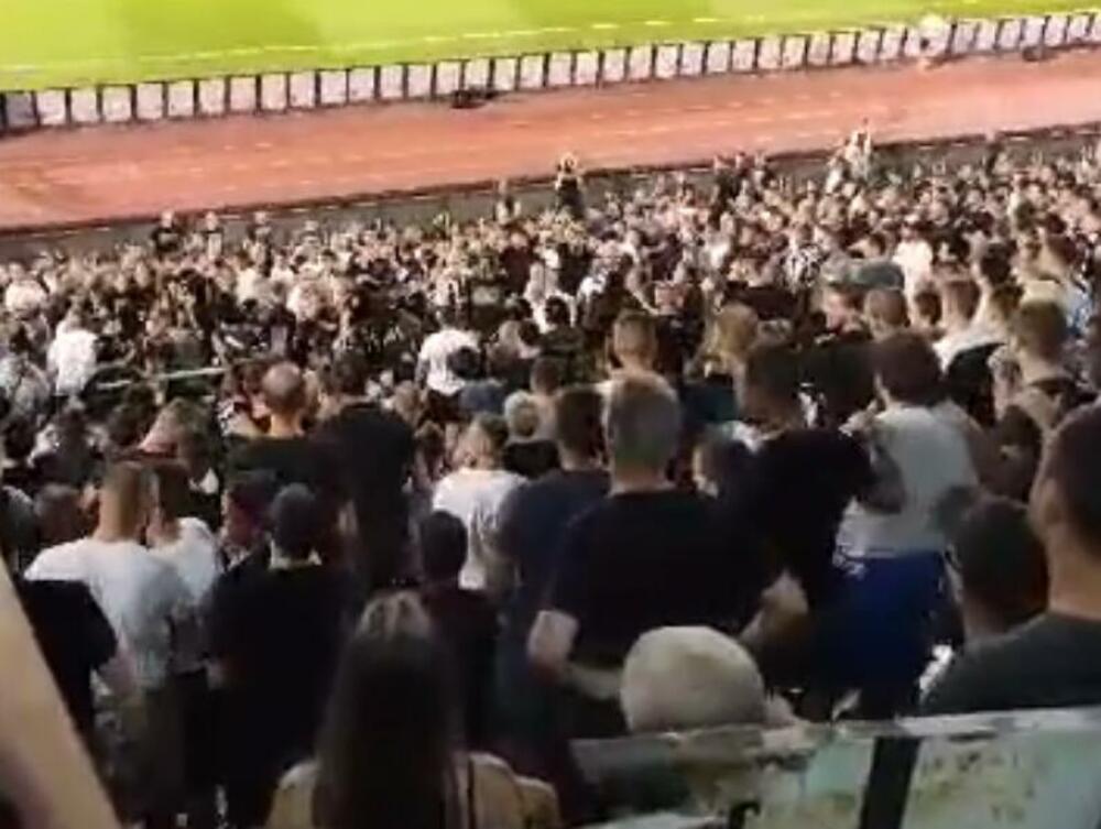 FK Partizan, Navijači, Fudbal