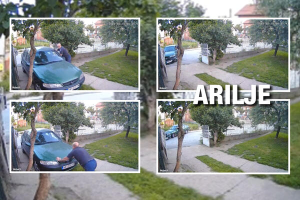 ARILJAC POKOSIO INTERNET U SRBIJI I TO SAMO JEDNIM POTEZOM! Ljudi gledaju i UMIRU OD SMEHA (VIDEO)