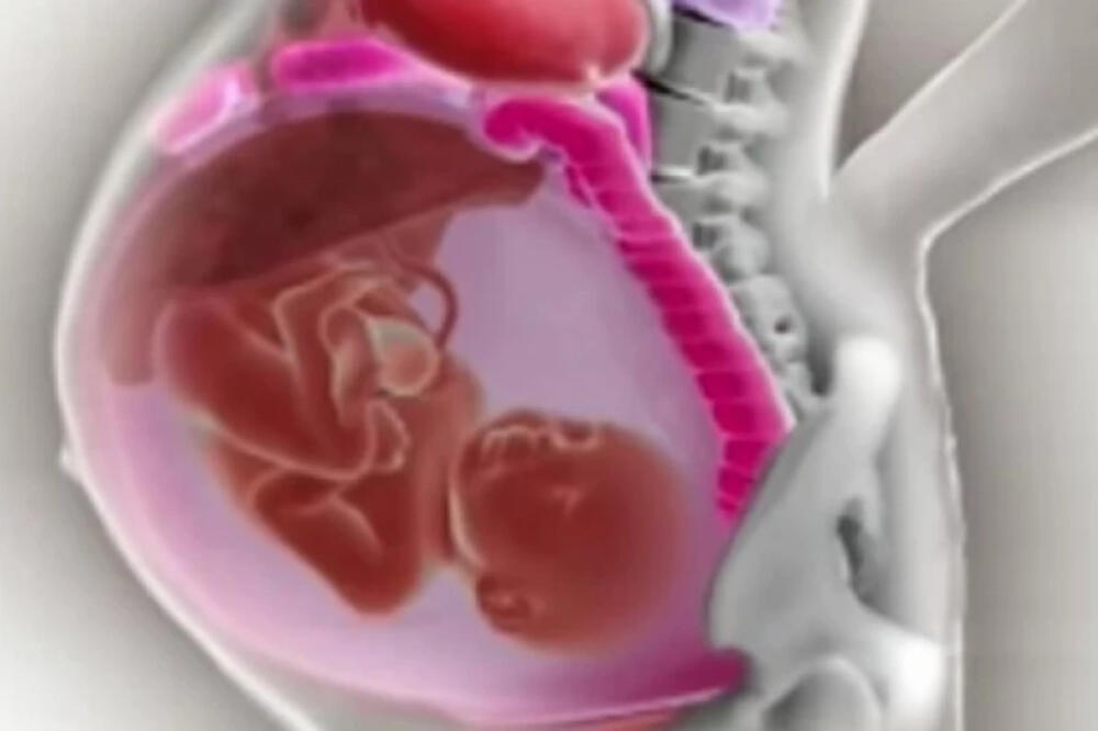 Ovako se ORGANI majke POMERAJU tokom trudnoće: Izašao ŠOK VIDEO!