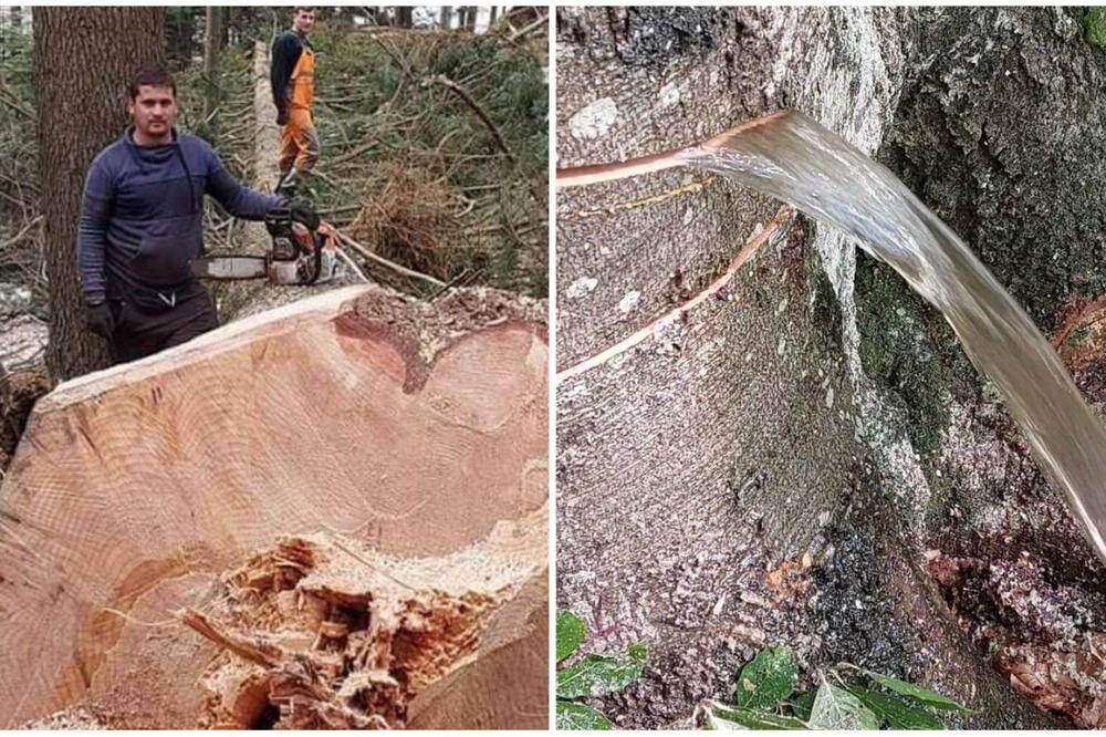 OVO SE DEŠAVA JEDNOM U 100 GODINA! Miloš iz Bedine Varoši nije mogao da VERUJE SVOJIM OČIMA, kakav prizor! (FOTO)