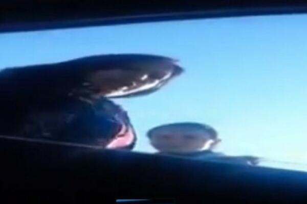 BOSANSKE PROSTITUTKE DAJU TROJICI ZA 45 EVRA! Nakon CENJKANJA, usledio je njihov PONIŽAVAJUĆI ODGOVOR