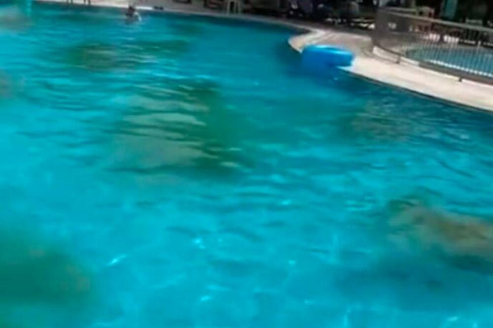 TURISTE ZATEKAO PRAVI HOROR NA ODMORU U TRUSKOJ: Po bazenu plutala zelena prljavština (VIDEO)