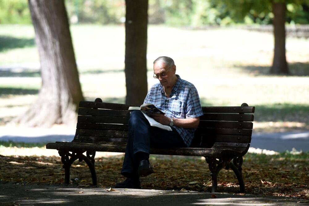 Penzioner sedi u hladu i čita knjigu / ilustracija