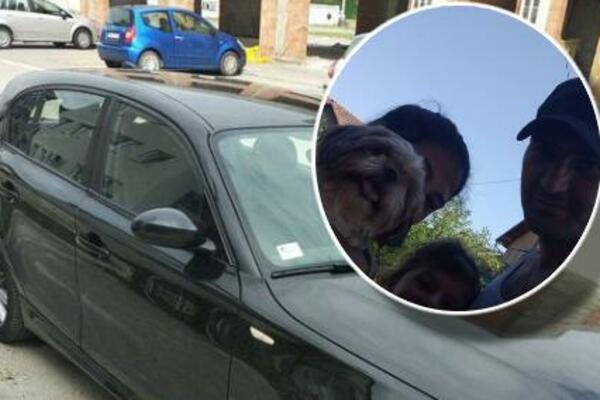 BEA KOJU JE TRAŽIO CEO VETERNIK SE VRATILA KUĆI: Miloš obećao da će onom ko je nađe POKLONITI BMW, ali... (FOTO)