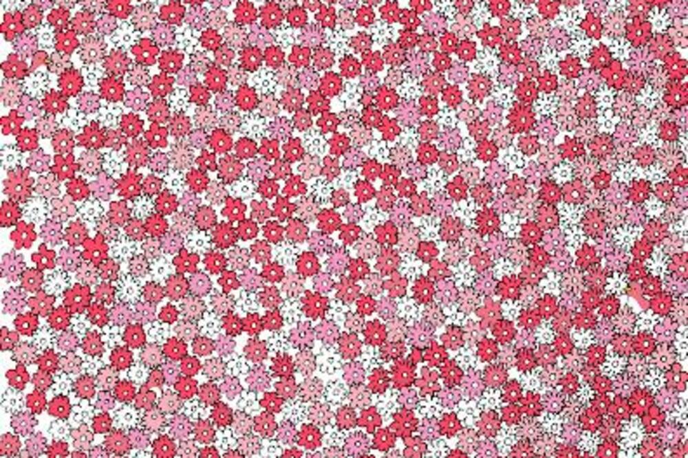 MOŽETE LI DA PRONAĐETE ZVEZDICU ZA MANJE OD 20 SEKUNDI? Zaboleće vas oči, NIJE LAKO